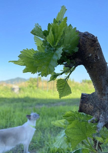 一日一空。 2022-0630