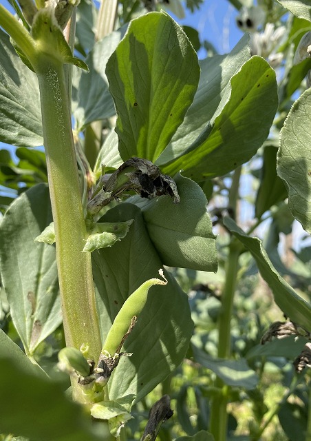 一日一空。 2023-0404