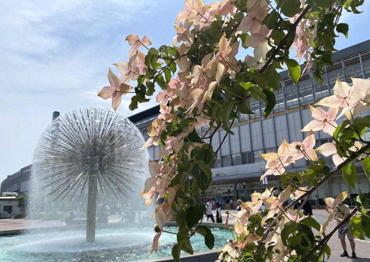 一日一空。 2023-0527