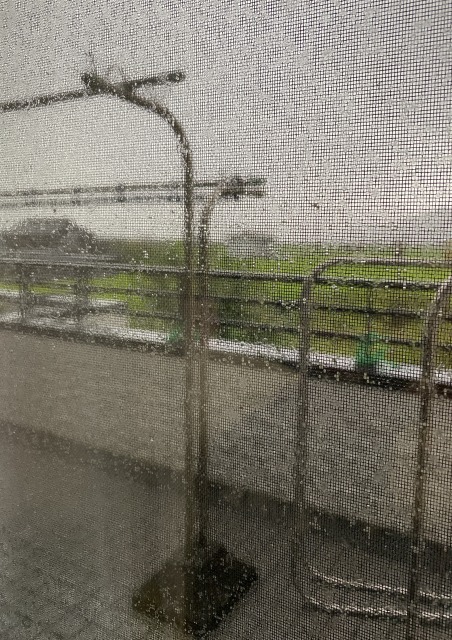 一日一空。 2023-0823