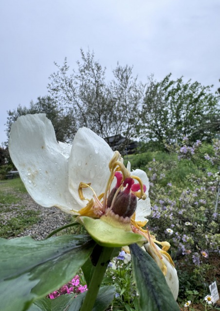 一日一空。 2024-0501