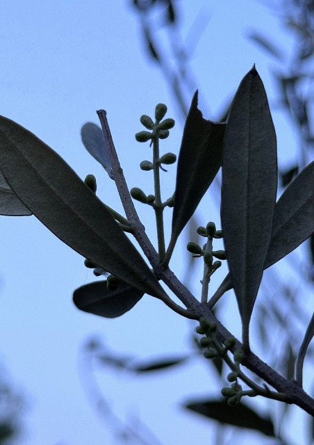 一日一空。 2024-0510