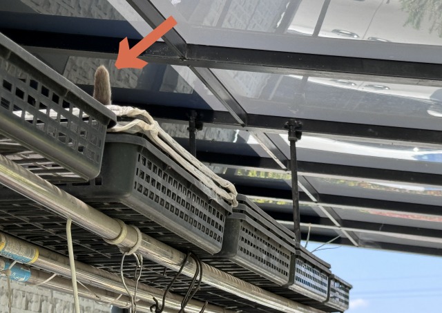 一日一空。 2024-0511