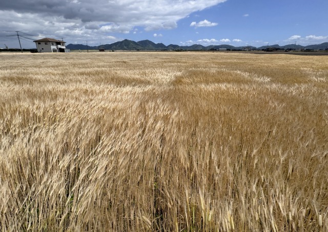 一日一空。 2024-0516