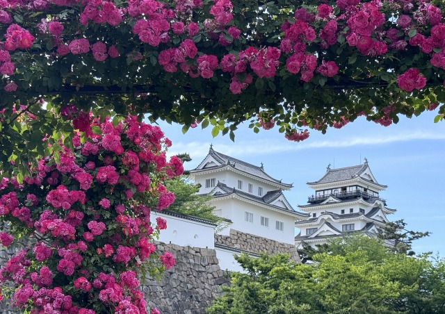 一日一空。 2024-0518