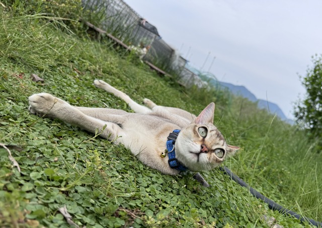 一日一空。 2024-0522