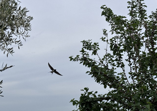 一日一空。 2024-0523