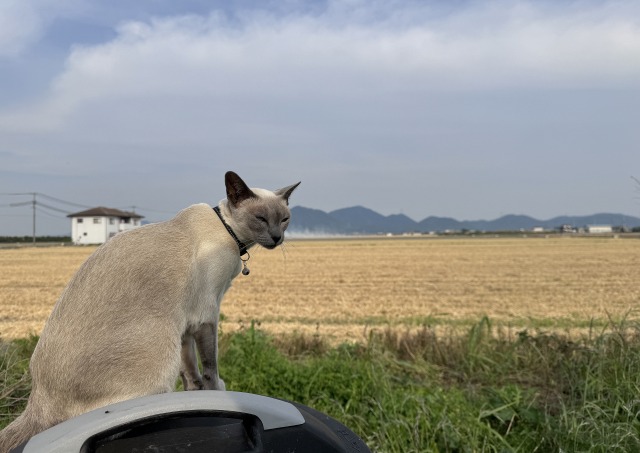 一日一空。 2024-0524