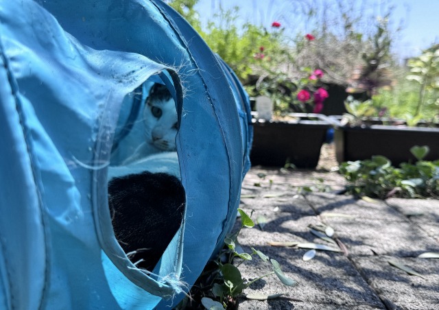 一日一空。 2024-0525