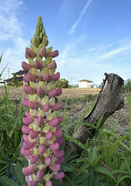 一日一空。 2024-0610