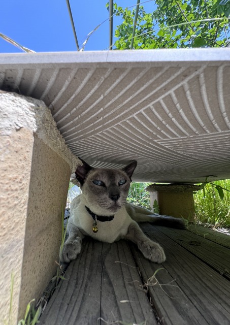 一日一空。 2024-0613