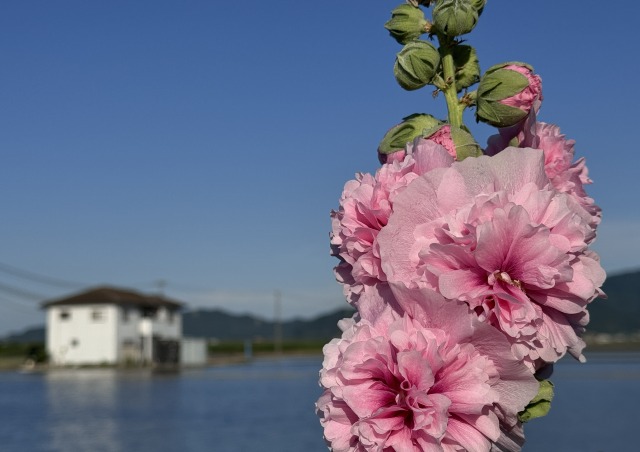 一日一空。 2024-0618