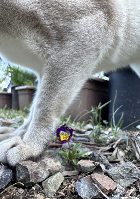 一日一空。 2024-0619