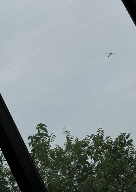 一日一空。 2024-0625