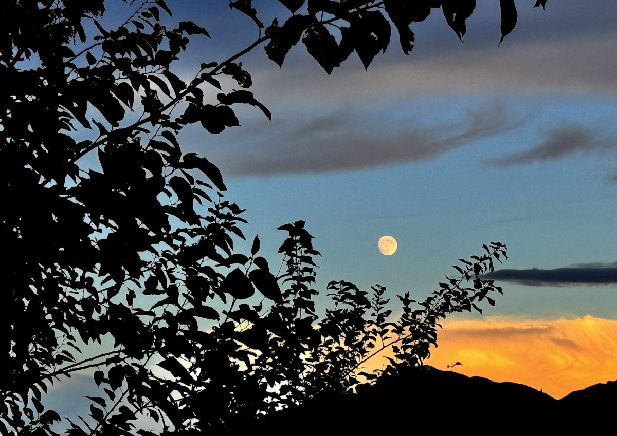 一日一空。 2024-0916