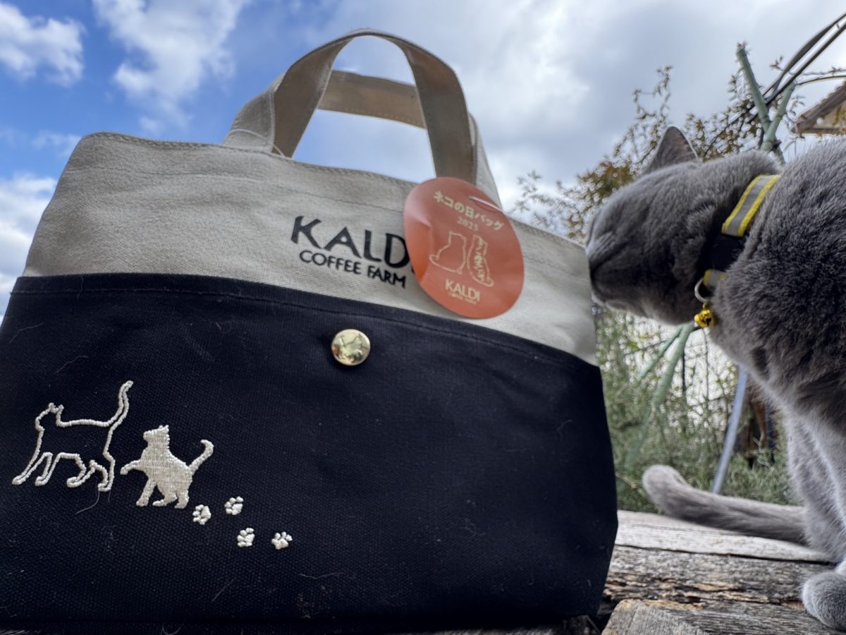 一日一空。 2025-0222