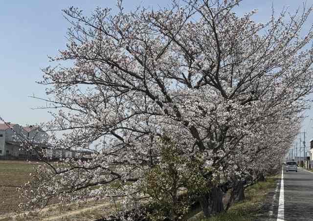 一日一空。 2025-0405