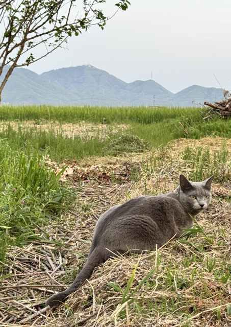 一日一空。 2025-0419