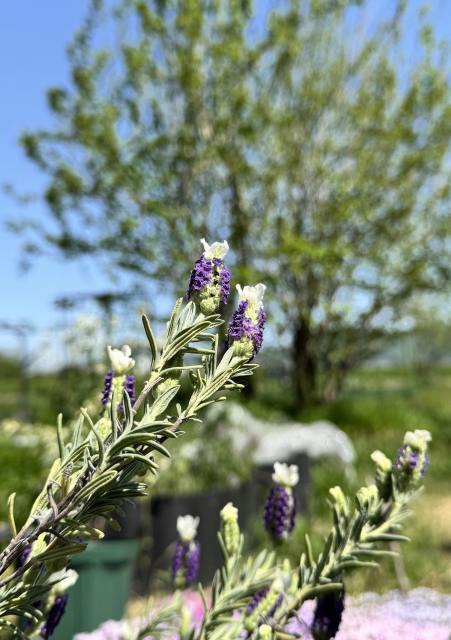 一日一空。 2025-0421