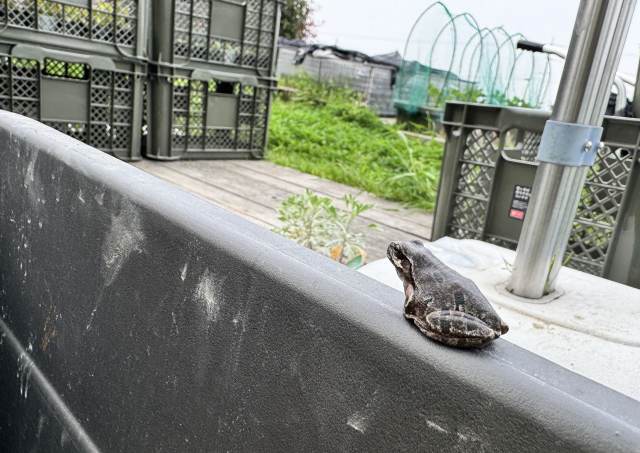 一日一空。 2025-0425