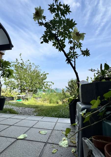 一日一空。 2025-0512