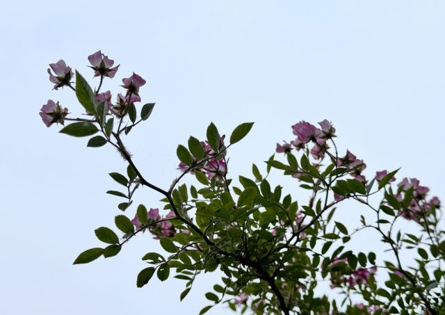 一日一空。 2025-0602